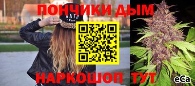 гидра Шахты