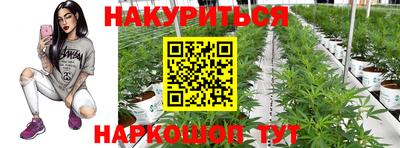 гидра Шахты