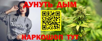 гидра Шахты